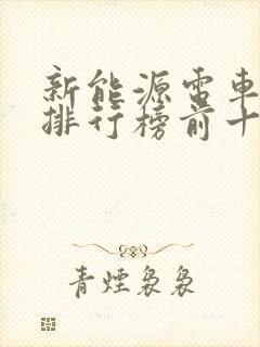 新能源电车电池排行榜前十名品牌