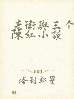 老卫与三个媳妇陈红小说