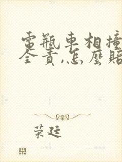 电瓶车相撞对方全责,怎么赔