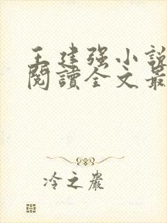 王建强小说免费阅读全文最新章节