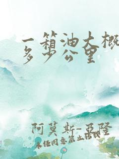 一箱油大概能跑多少公里
