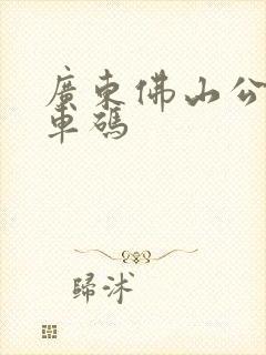 广东佛山公交乘车码