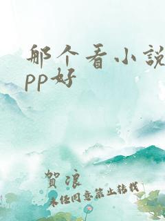 那个看小说的app好
