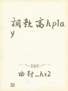 调教高hplay