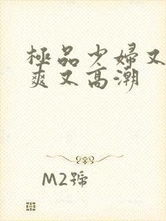 极品少妇又色又爽又高潮