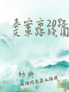 泰安市20路公交车路线图