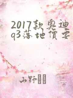 2017款奥迪q3落地价要多少钱