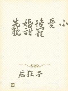 先婚后爱小说原耽甜宠 先婚后爱小说原耽甜宠