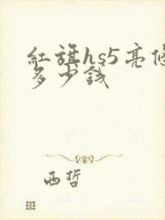 红旗hs5亮条多少钱