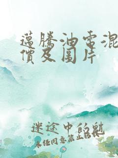 迈腾油电混动报价及图片