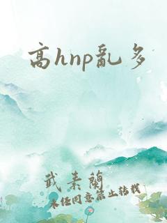 高hnp乱多