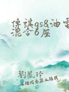 传祺gs8油电混合6座