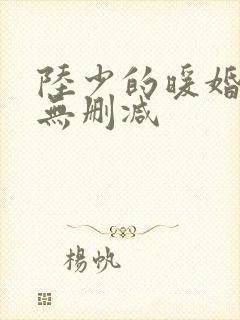 陆少的暖婚新妻无删减