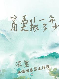 宝马x1一年费用大概多少钱啊