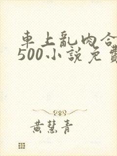 车上乱肉合集乱500小说免费阅读