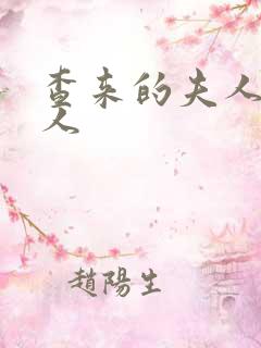 查来的夫人的情人