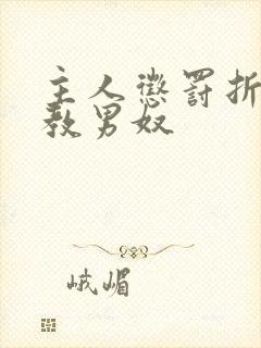 主人惩罚折磨调教男奴