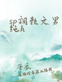 sp调教文男男纯h
