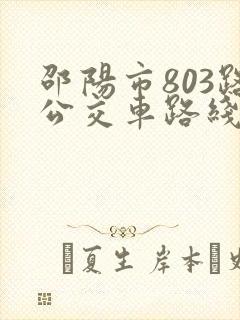 邵阳市803路公交车路线图