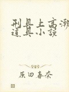 刑具上高潮调教道具小说