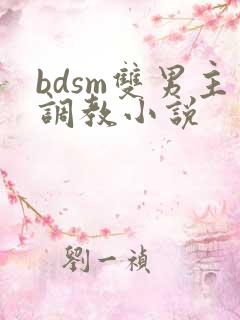 bdsm双男主调教小说