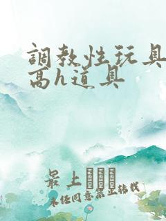 调教性玩具np高h道具