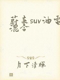 蔚来suv油电混合 蔚来suv油电混合