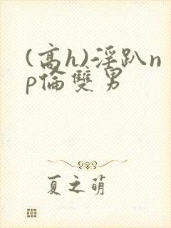 (高h)淫趴np伦双男