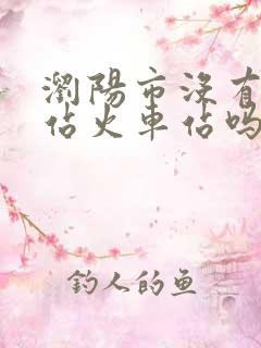 浏阳市没有高铁站火车站吗