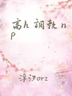 高h 调教 np