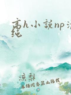 高h小说np清纯
