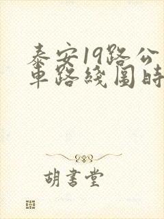 泰安19路公交车路线图时间表