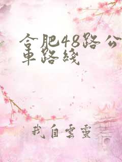 合肥48路公交车路线