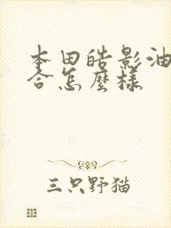 本田皓影油电混合怎么样