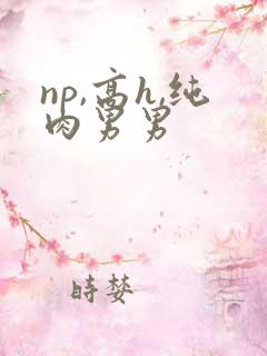 np,高h,纯肉男男