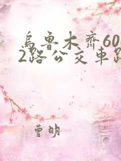 乌鲁木齐6002路公交车路线