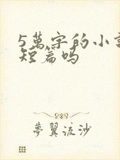 5万字的小说是短篇吗