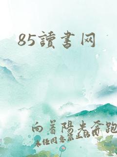 85读书网