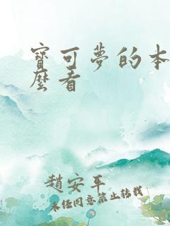宝可梦的本子怎么看