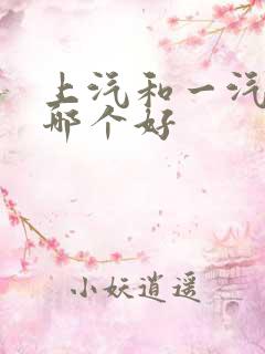 上汽和一汽大众哪个好