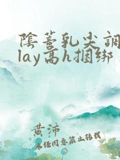 阴蒂乳尖调教play高h捆绑