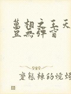 万相之王天蚕土豆无弹窗
