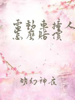 电动车撞人全责怎么赔偿