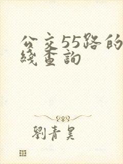公交55路的路线查询