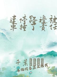 违停路边被别人车撞了责任算谁的
