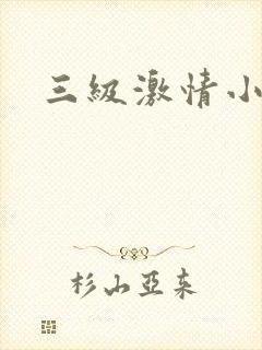 三级激情小说h