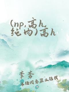 (np,高h,纯肉)高h