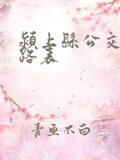 颍上县公交车线路表