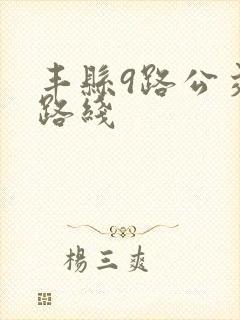 丰县9路公交车路线