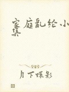 家庭乱纶小说全集